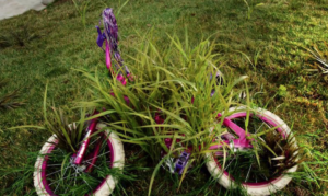 Bike swallowed by crabgrass