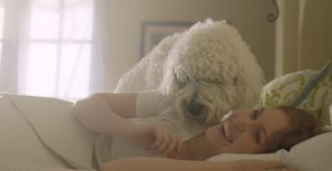 Dog waking up woman