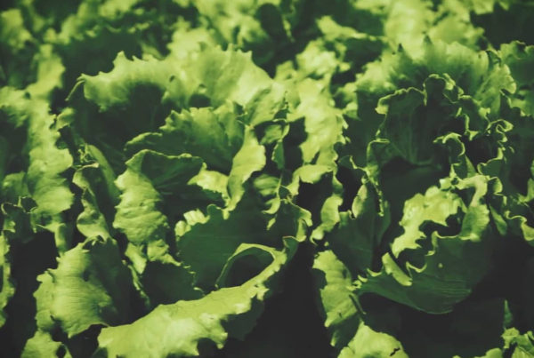 Leafy greens