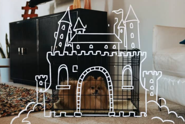 Dog in an imaginary castle